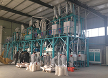 Ymft100 corn processing equipme